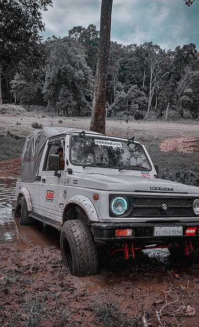 邓亚萍怒揭3人窘境！樊振东夺冠反显男乒危机，统治时代真要终结？